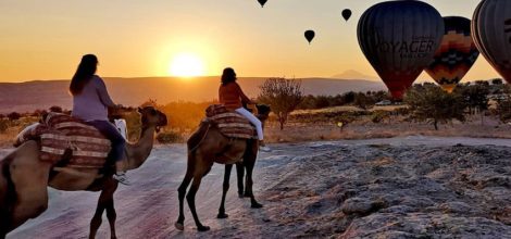 Safari en Camello